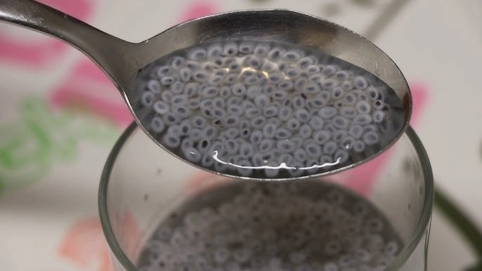 10 Surprising Health Benefits of Chia Seeds