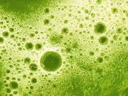 Early Signs of Kidney Disease: Essential Information