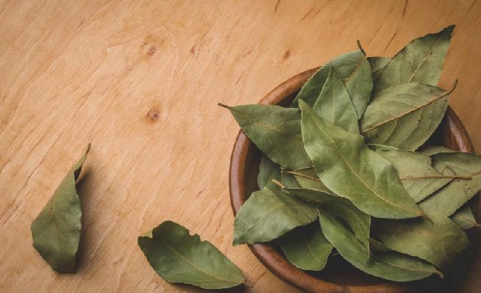 Eliminate Cold and Acidity with Bay Leaf Powder: Learn More