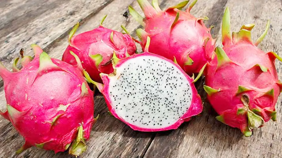 Dragon Fruit: The Superfood That Slows Aging