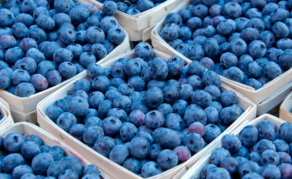 Boost Nerve Health: Eat These 4 Fruits Daily