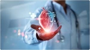 Silent Kidney Killer: Recognize Warning Signs You Might Miss