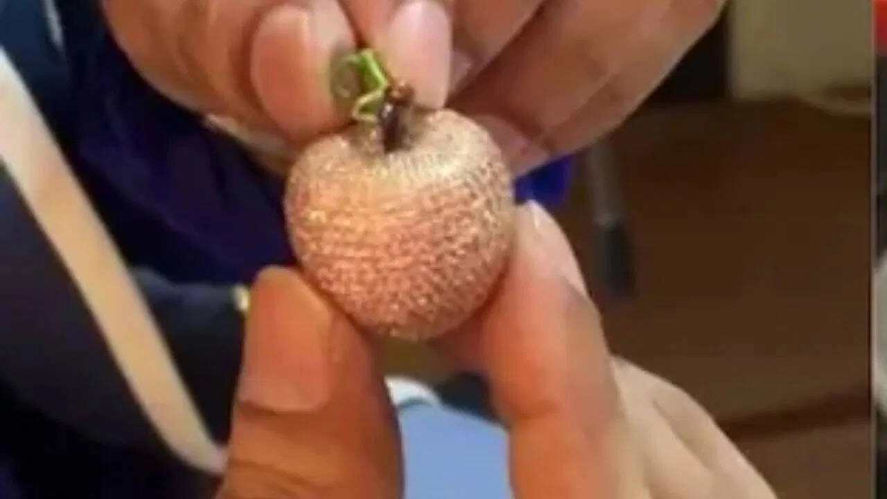 10 Crore Apple: Crafted from Unique Elements, Now Shining Globally