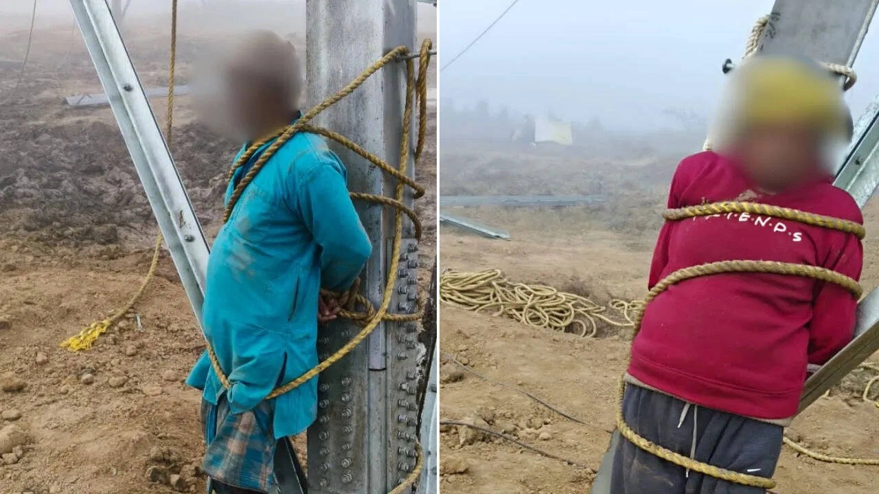 Thieves Bind Guards, Steal ₹2.5 Lakh from Datia Transmission Site