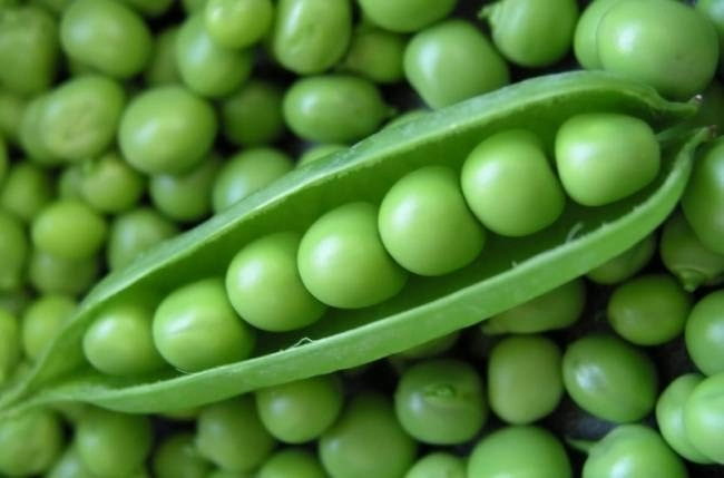 7 Surprising Health Benefits of Green Peas