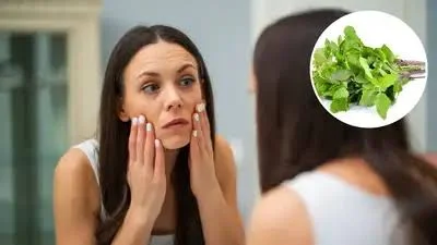 Relieve Pimples and Spots with Basil: Here’s How