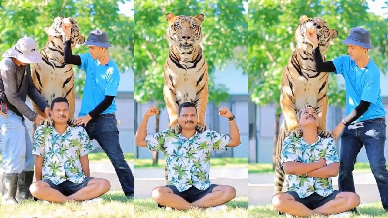 Man Fearlessly Shoots Photos with Fierce Tiger, Goes Viral