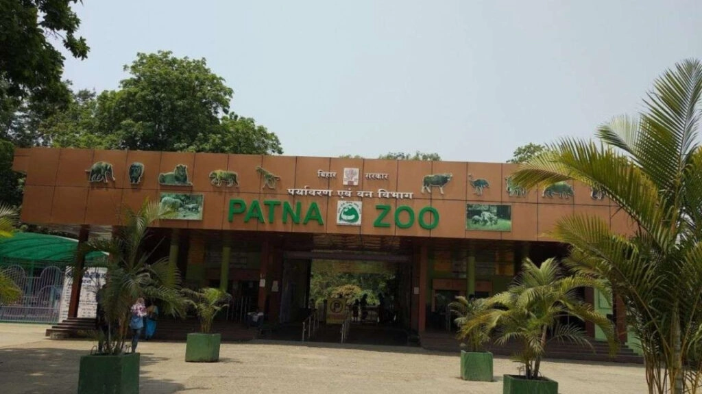 Bird Flu in Bihar: 4,500 Chickens Sacrificed, Patna Zoo Closed