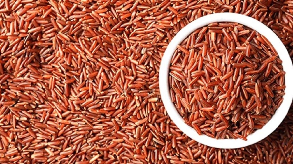 Rising Demand for Himachal Pradesh Red Rice: Benefits for Diabetics