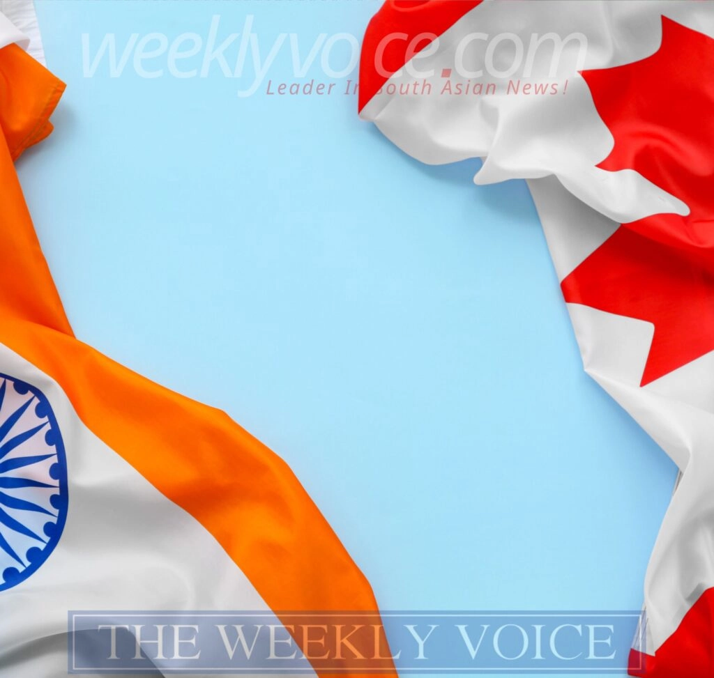 From Canada to India: Caleb Friesen's Redefinition of Success