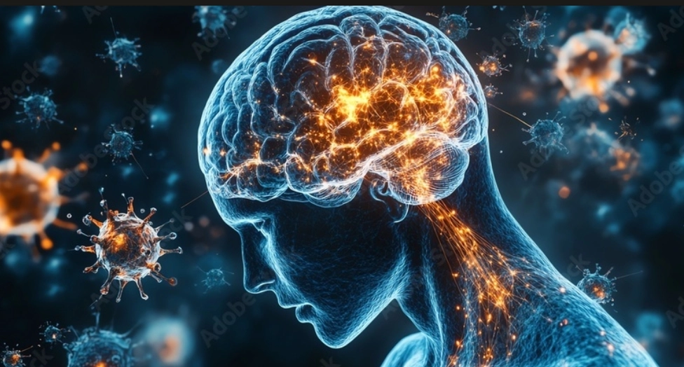 Meningitis: Risks to the Brain and Spinal Cord