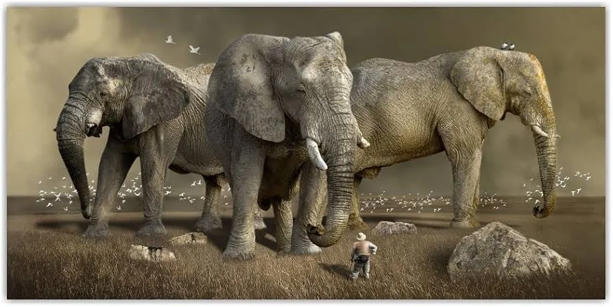 Five Elephants Die in Bokaro Amid Harassment, Causing Panic