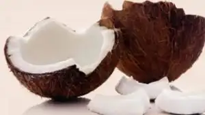Coconut: Health Benefits and Uses