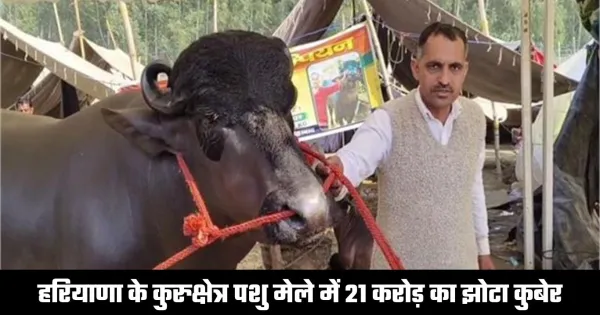 Rs 21 Crore Jhota Kuber Draws Crowd at Kurukshetra Fair