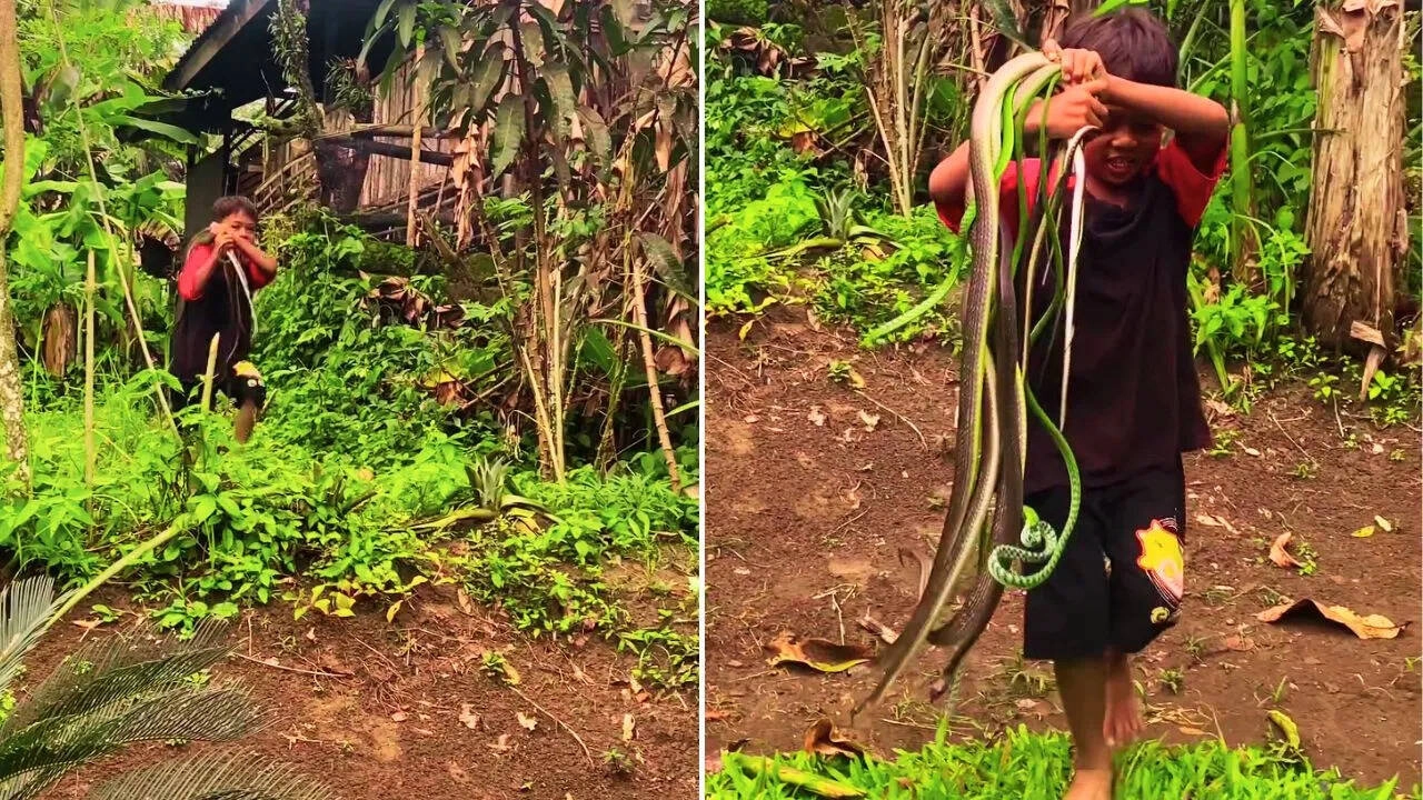 Boy Carries Live Snakes on Shoulders; Viral Video Shocks Viewers