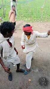 Funny Viral Videos of Pet Bees Make Social Media Users Laugh