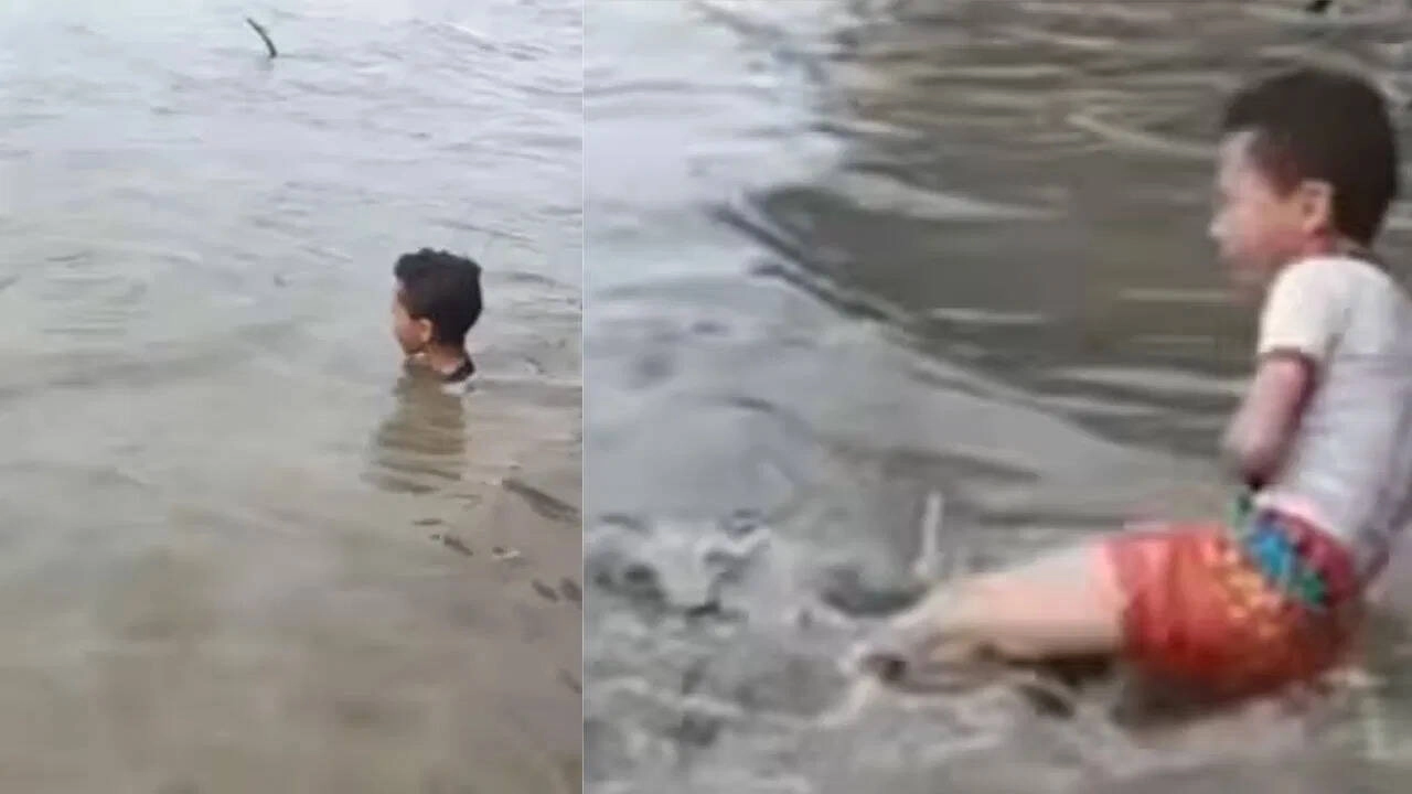 Child Plays in Water, Then an Unbelievable Scene Unfolds
