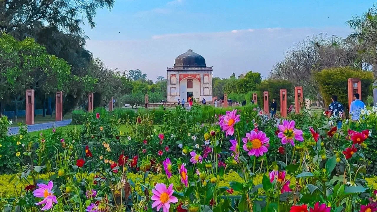Colorful Flowers, Serene Lakes: Explore Delhi's Nature Spots