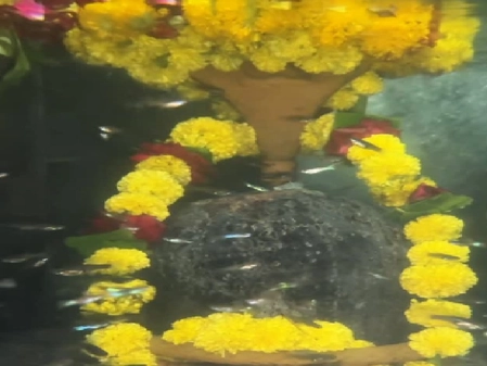 Maha Shivratri Special: Baba Bholenath in Water Shrine