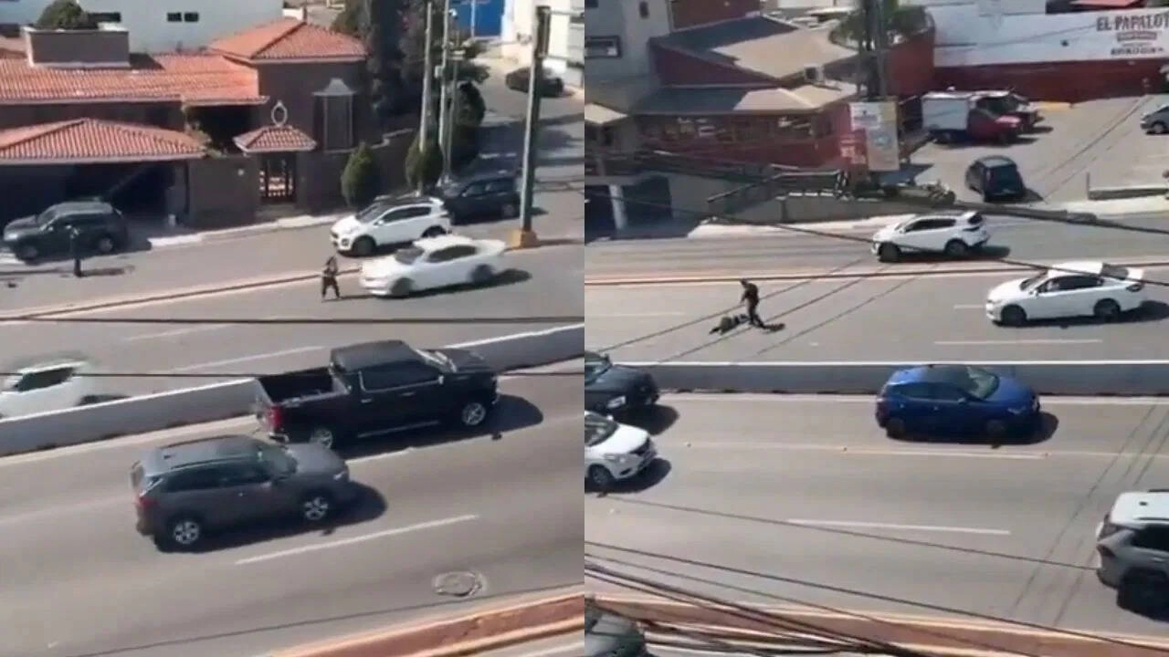 Road Crossing Accident: Ignoring Safety Proves Fatal