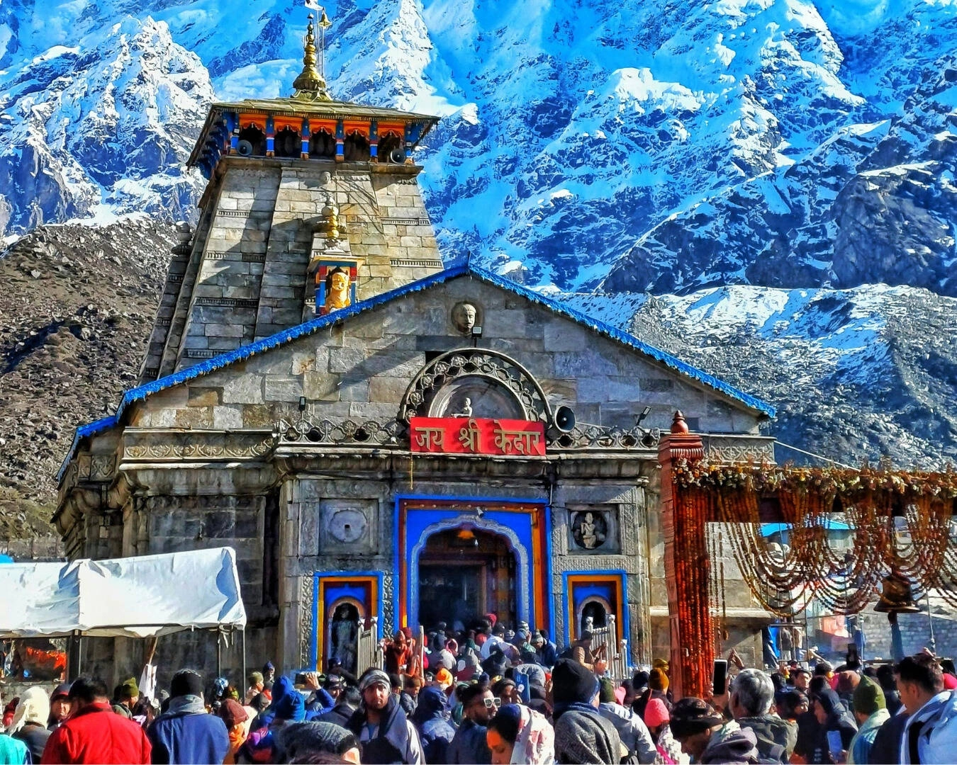 Kedarnath Yatra: Horse and Mule Insurance and Fitness Required