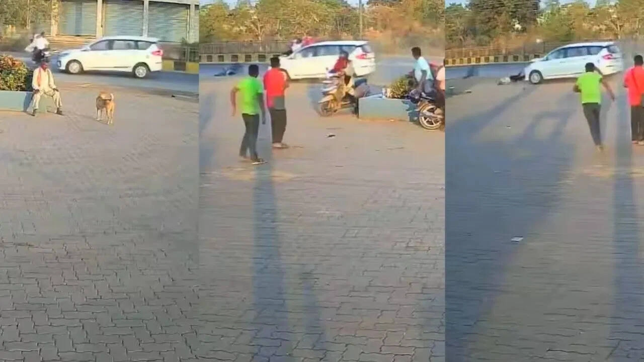 Viral Road Accident Video on Social Media: Safety Warning