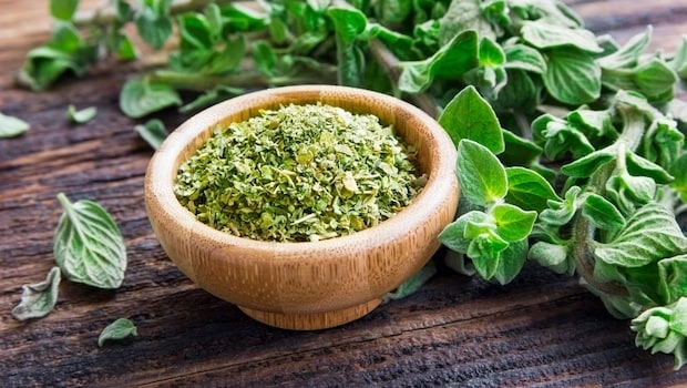 Make Aromatic Oregano at Home in Just 15 Minutes!
