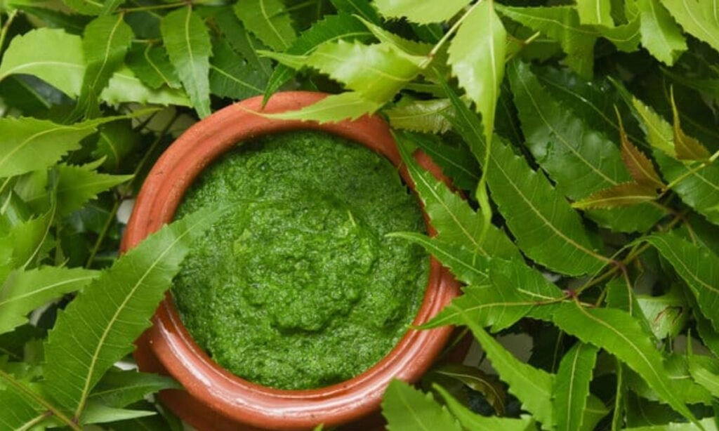 Neem for Glowing Skin: Grandmother's Spotless Recipe