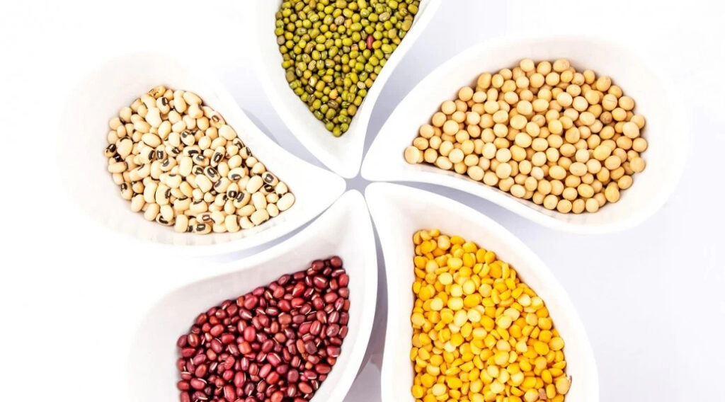 Protein Shortage Sparks Tension from 80% Import Dependence