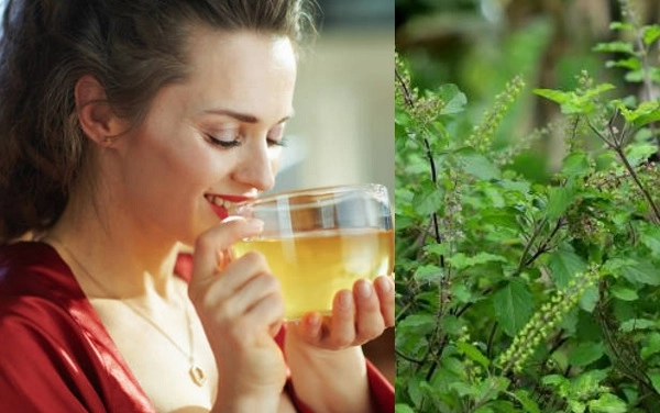 5 Benefits of Drinking Basil Water Every Morning This Season