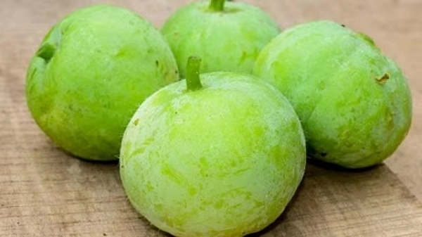 Discover the Nutrient Benefits of This Amazing Vegetable