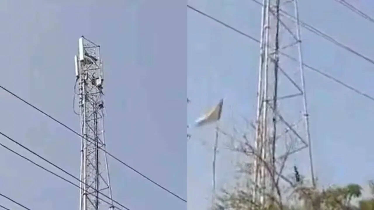 Young Man Loses Life for Likes: Shocking Video Inside