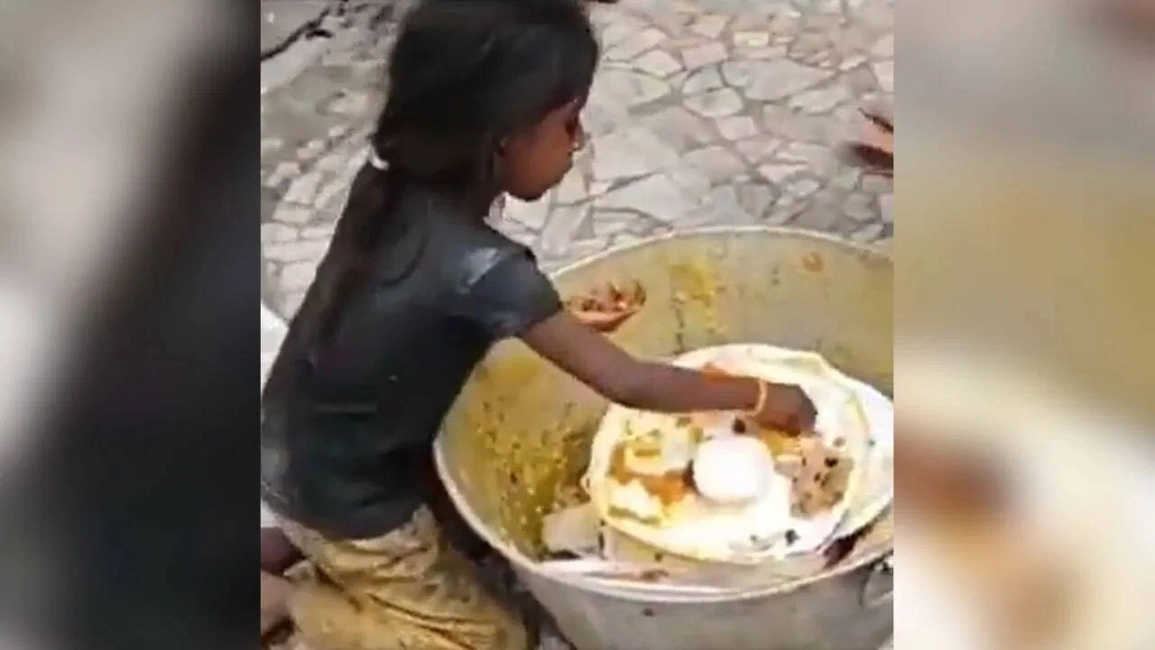 Emotional Impact of Food Appreciation: Watch This Video