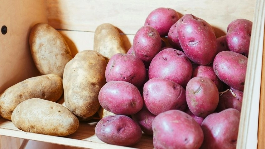 White vs. Red Potatoes: Which is Healthier for Your Diet?