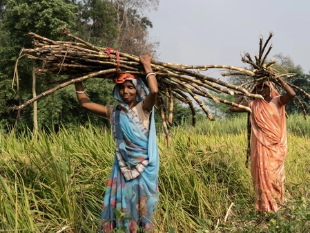 Centre Allocates Over ₹299 Crore to Strengthen Assam's Rural Bodies
