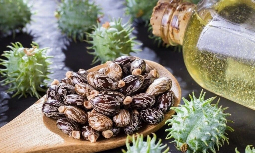 Using Castor Oil at Home for Great Hair Results