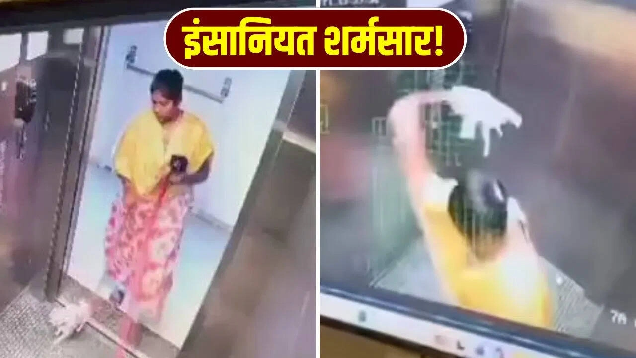 Woman's Cruelty to Puppy in Elevator Shocks Viewers