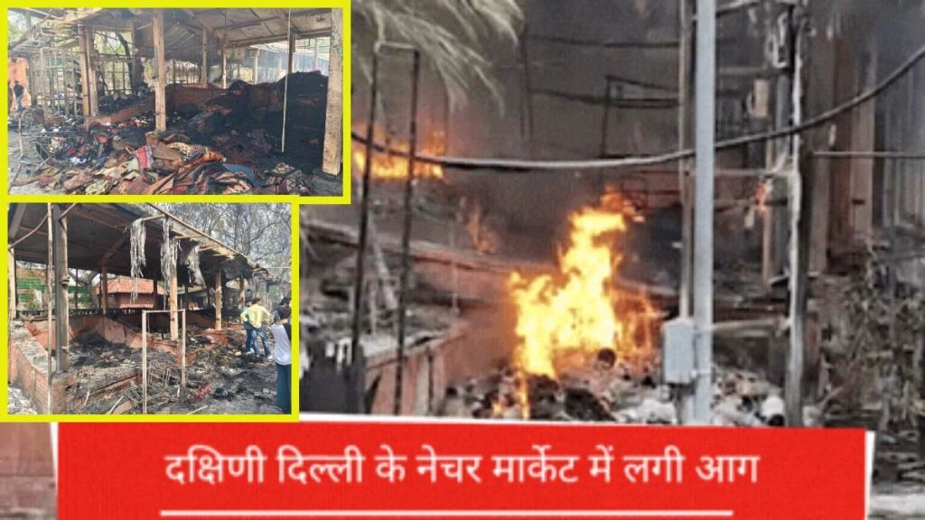 Massive Fire in Delhi's Nature Bazaar Destroys 50 Shops
