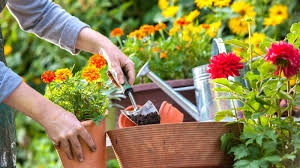 5 Secret Methods for a Blooming Garden