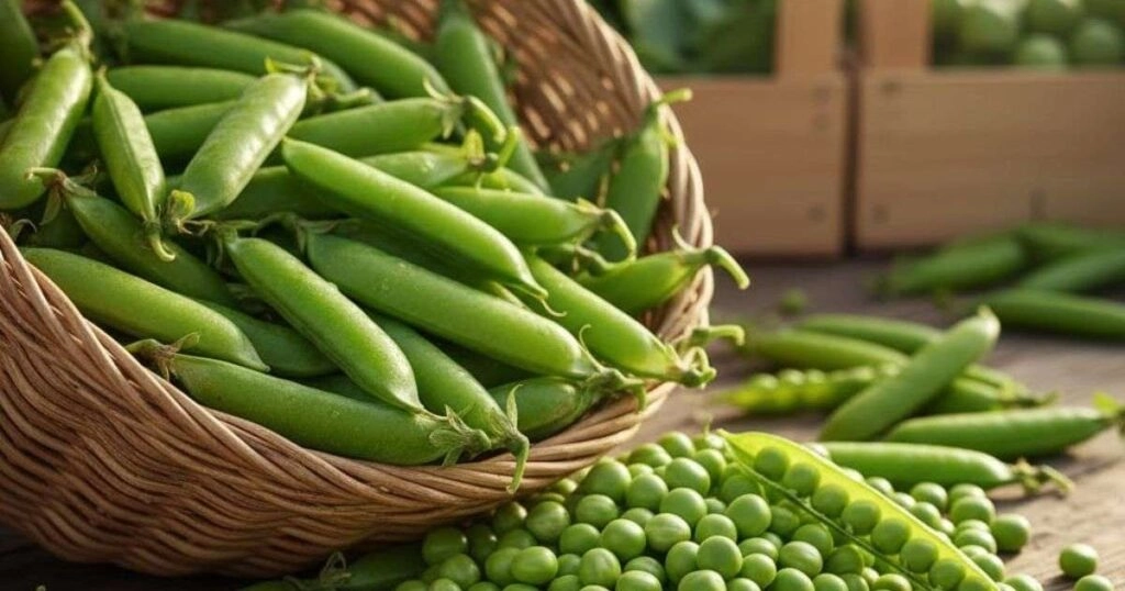 6 Health Benefits of Green Peas You Should Know
