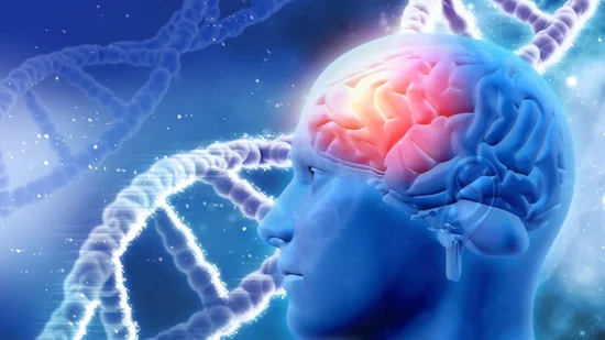 Neurologist's Tips for Responding to Seizures: 20+ Years Experience