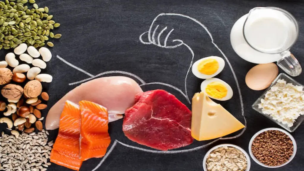 Impact of a 14-Day High-Protein Diet on Body Changes