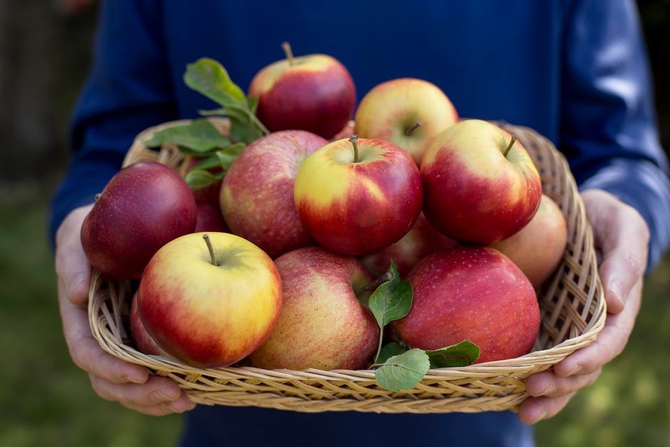 Eat an Apple Daily to Avoid 10 Diseases: A Health Formula