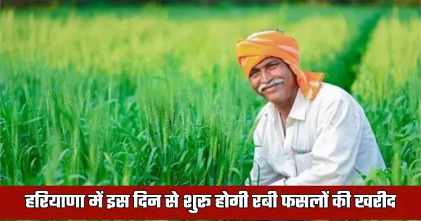 Haryana Rabi Crop Procurement Start Date Announced