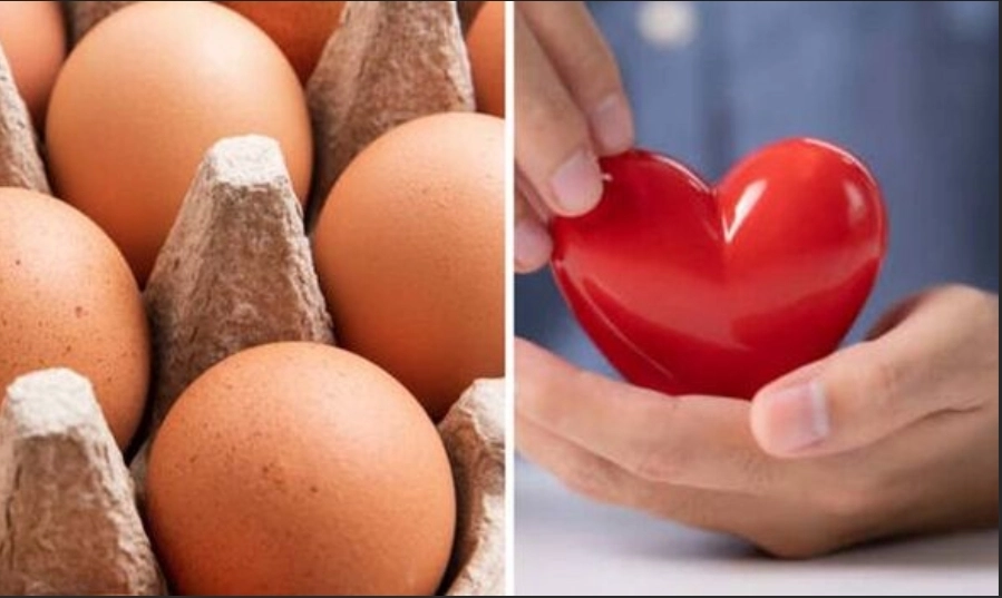 Eggs and Cholesterol: What Heart Patients Need to Know