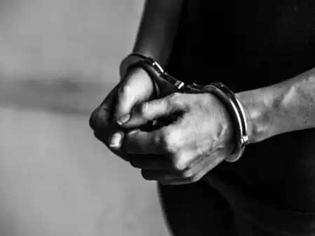 Delhi Police Arrests Youth for Snatching Mobile from Girl