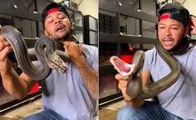 Snake Strikes Man: Terrifying Video Goes Viral