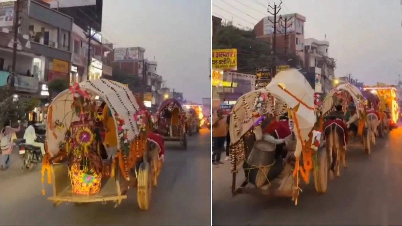 Unique Wedding Procession on Bullock Cart Reminisces Past