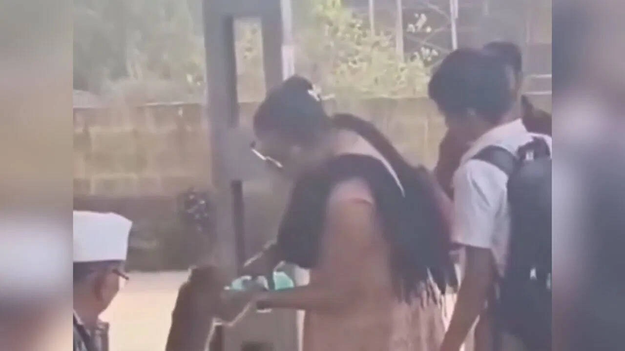 Woman Shows Remarkable Humanity to Monkey, Praised for Motherly Love