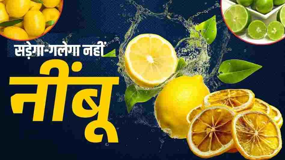 Lemon Storage Tips: Keep Them Fresh for Months with 4 Methods